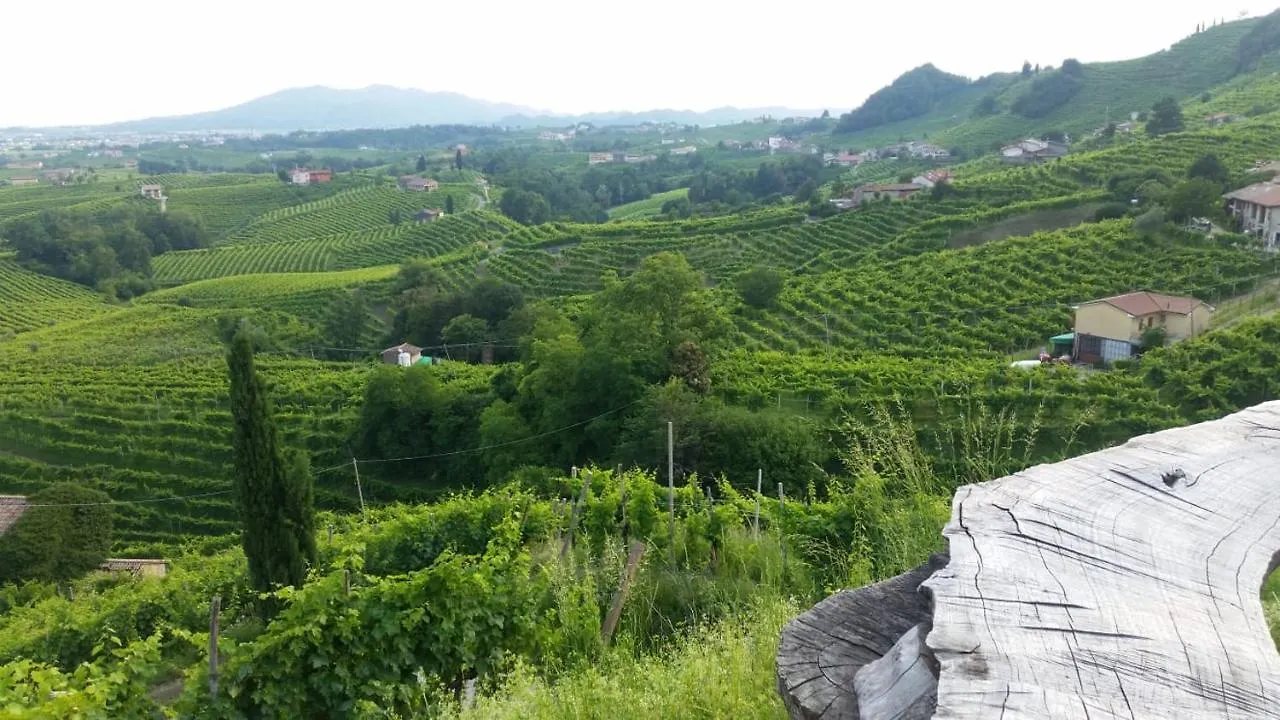 Апартаменты Nel Cuore Del Prosecco Superiore Docg Вальдоббьадене 0*,  Италия